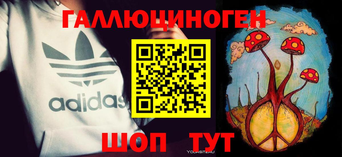 Псилоцибиновые грибы GOLDEN TEACHER  Вход с VPN  Сухой Лог 